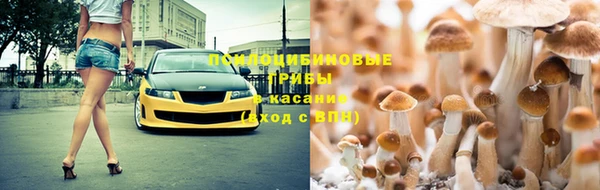 дмт Балабаново