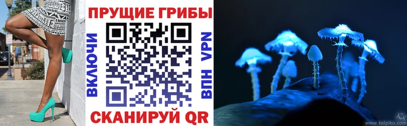 Галлюциногенные грибы MAGIC MUSHROOMS блэк спрут ССЫЛКА Нязепетровск где купить наркоту